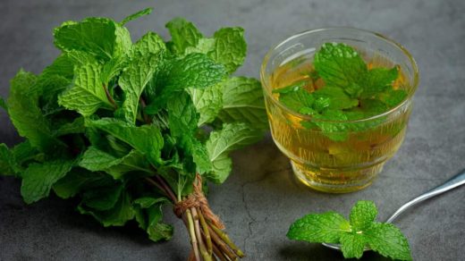 Lemon Balm for Weight Loss
